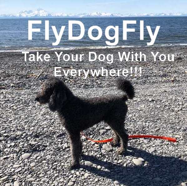 FlyDogFly - Travel Agents for People With Dogs